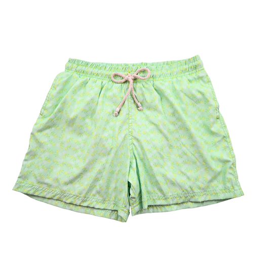 ABEJAS | Niños / Adultos